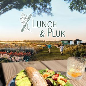 Lunch & Pluk