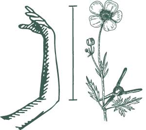 Steellegnte bij bloemenplukken